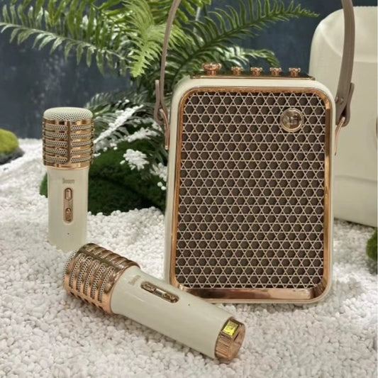 Family Dual Microphone Bluetooth Speaker Suit